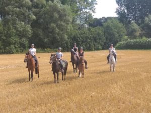 Paardenvakantie bij Dotter17 is de unieke vakantieformule voor jou en jouw paard